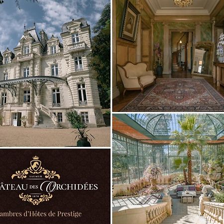 Chambres d'hôtes Château Les Orchidées SAUMUR Esterno foto