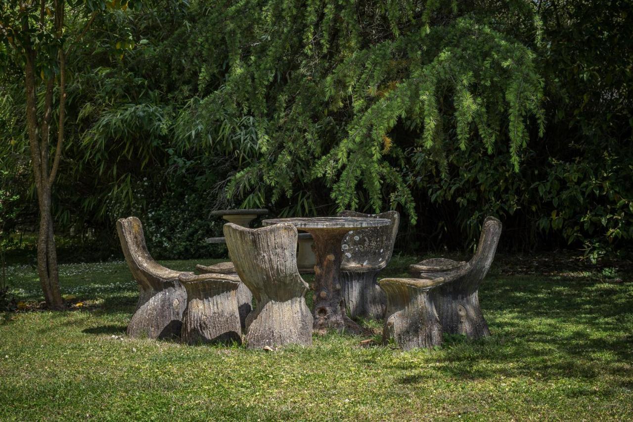 Chambres d'hôtes Château Les Orchidées SAUMUR Esterno foto