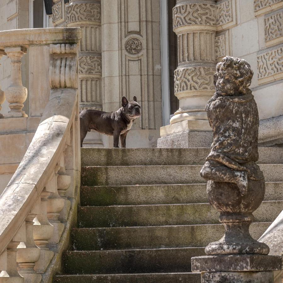 Chambres d'hôtes Château Les Orchidées SAUMUR Esterno foto