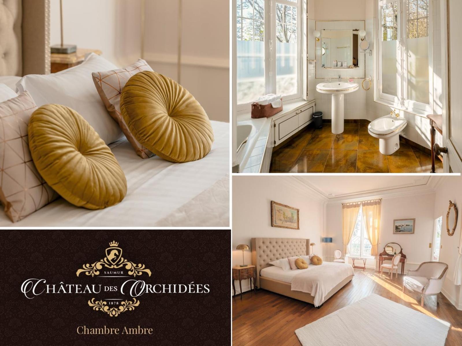 Chambres d'hôtes Château Les Orchidées SAUMUR Esterno foto